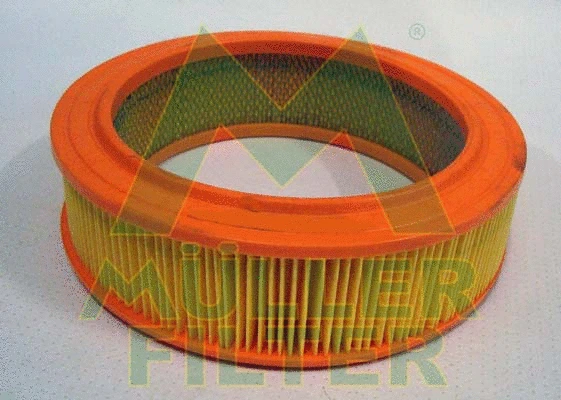 Air Filter (PA645)