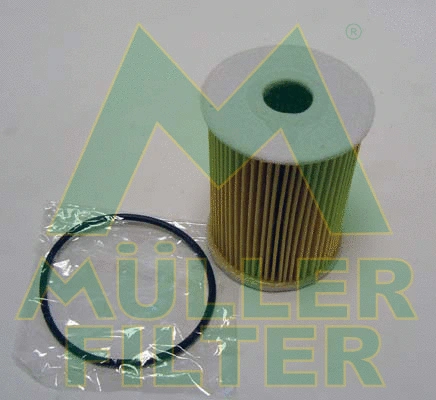 Oil Filter (FOP345)