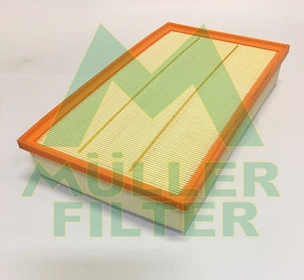 Air Filter (PA3890)