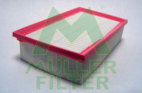 Air Filter (PA3725)