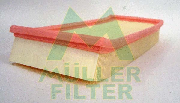 Air Filter (PA747)