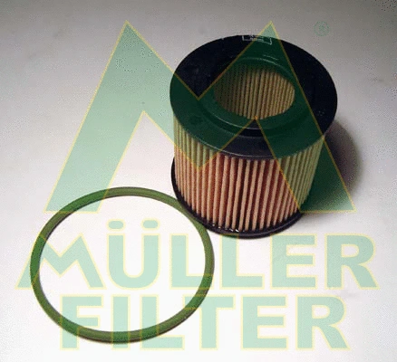 Oil Filter (FOP233)