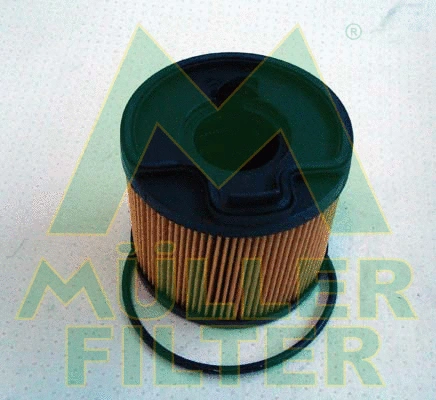 Fuel Filter (FN151)