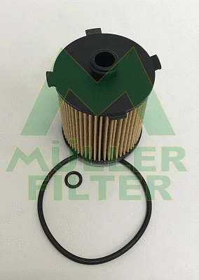 Oil Filter (FOP293)