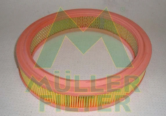 Air Filter (PA174)
