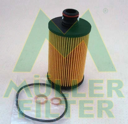 Oil Filter (FOP396)