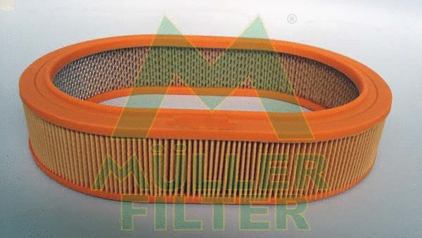 Air Filter (PA353)