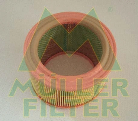 Air Filter (PA222)