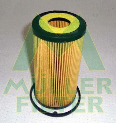 Oil Filter (FOP253)