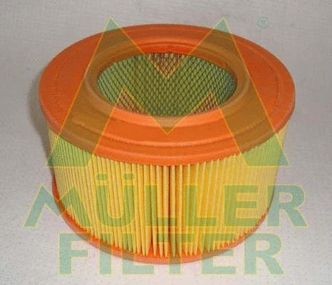 Air Filter (PA170)