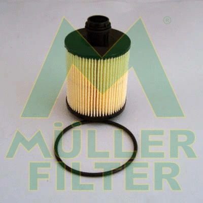 Oil Filter (FOP241)