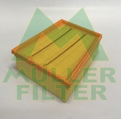 Air Filter (PA3783)