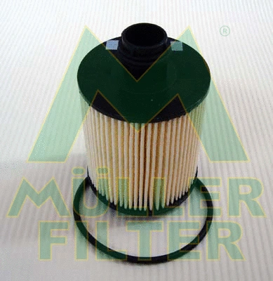 Oil Filter (FOP257)
