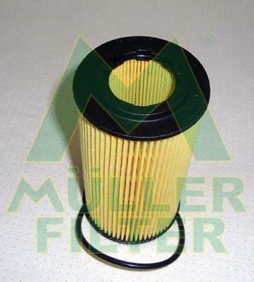 Oil Filter (FOP244)