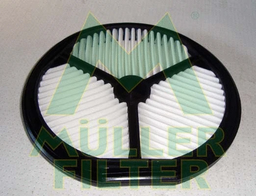 Air Filter (PA101)