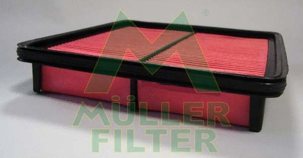 Air Filter (PA3438)