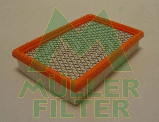 Air Filter (PA177)