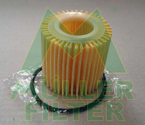 Oil Filter (FOP369)
