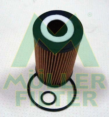 Oil Filter (FOP238)