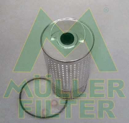 Oil Filter (FOP152)