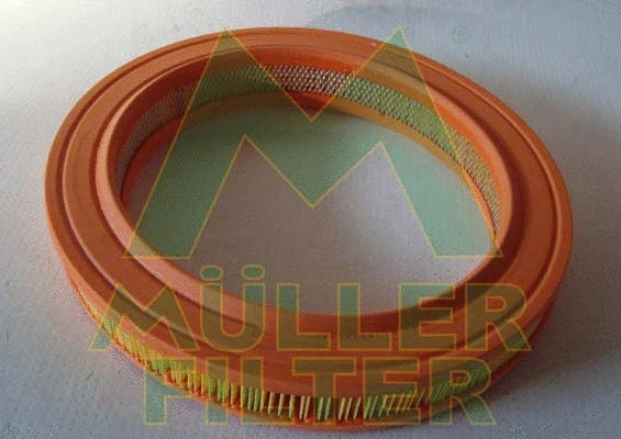 Air Filter (PA117)