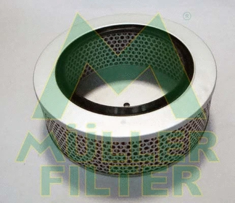 Air Filter (PA3487)