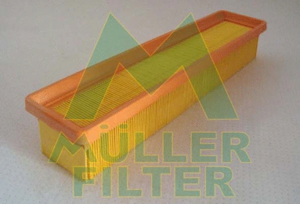Air Filter (PA3125)