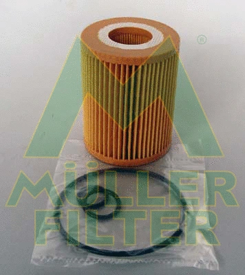 Oil Filter (FOP226)