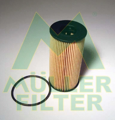 Oil Filter (FOP384)