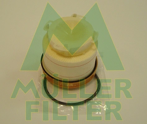 Fuel Filter (FN1508)