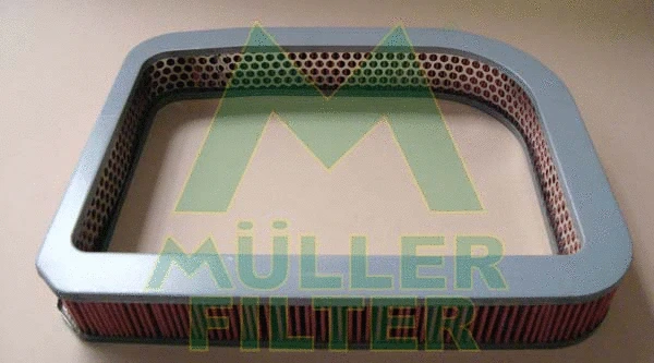 Air Filter (PA3451)