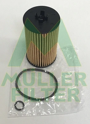Oil Filter (FOP281)
