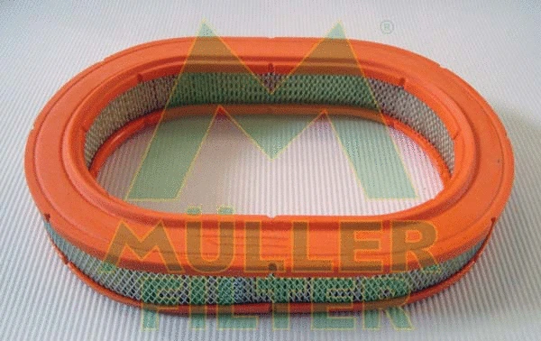 Air Filter (PA3441)