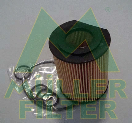 Oil Filter (FOP347)