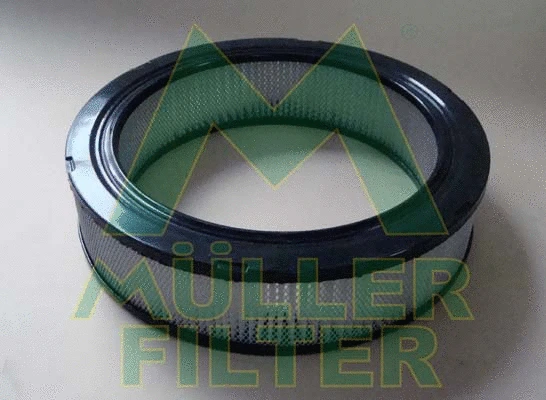 Air Filter (PA3389)