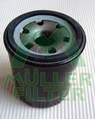 Oil Filter (FO594)