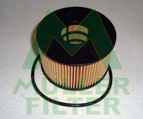 Oil Filter (FOP124)