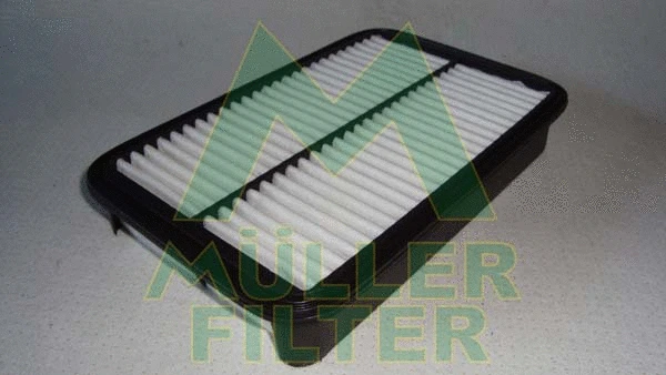 Air Filter (PA110)