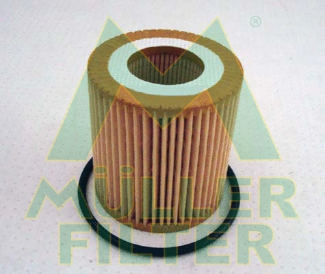 Oil Filter (FOP282)