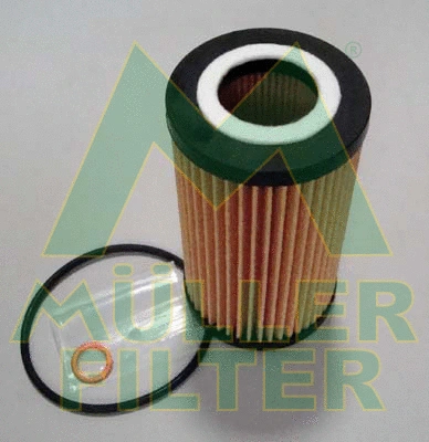 Oil Filter (FOP217)