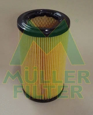 Air Filter (PA263)