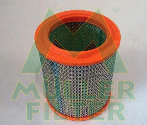Air Filter (PA435)