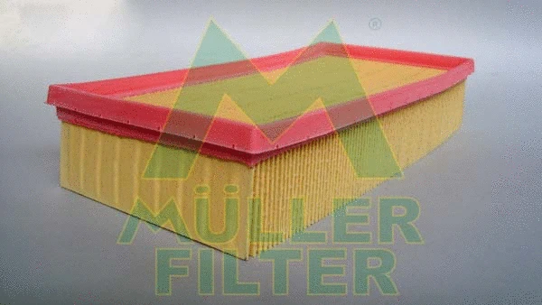 Air Filter (PA3129)
