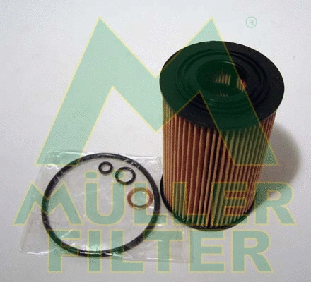 Oil Filter (FOP207)