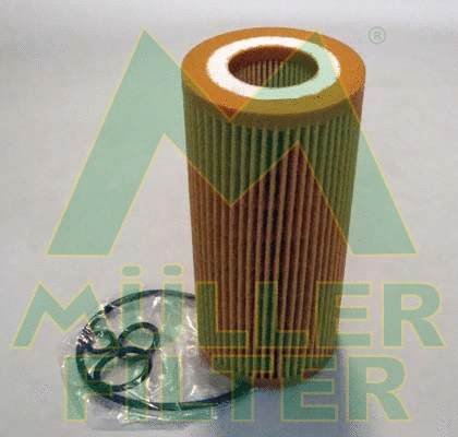 Oil Filter (FOP378)