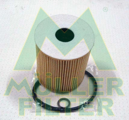 Oil Filter (FOP110)