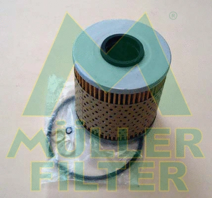 Oil Filter (FOP210)