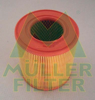 Air Filter (PA3127)