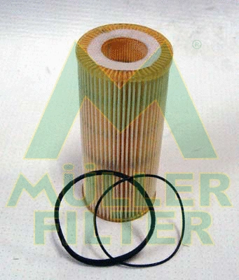 Oil Filter (FOP254)