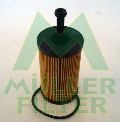 Oil Filter (FOP114)